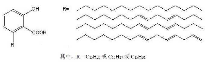 结构式.jpg