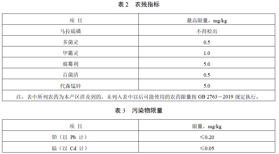 表2.jpg