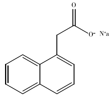 结构式-1.jpg