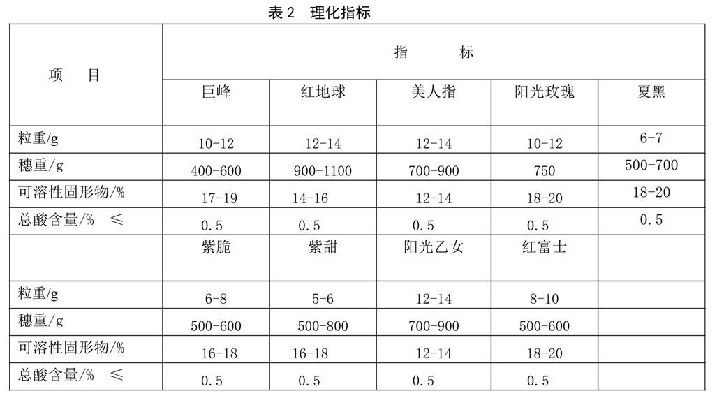 表2.jpg